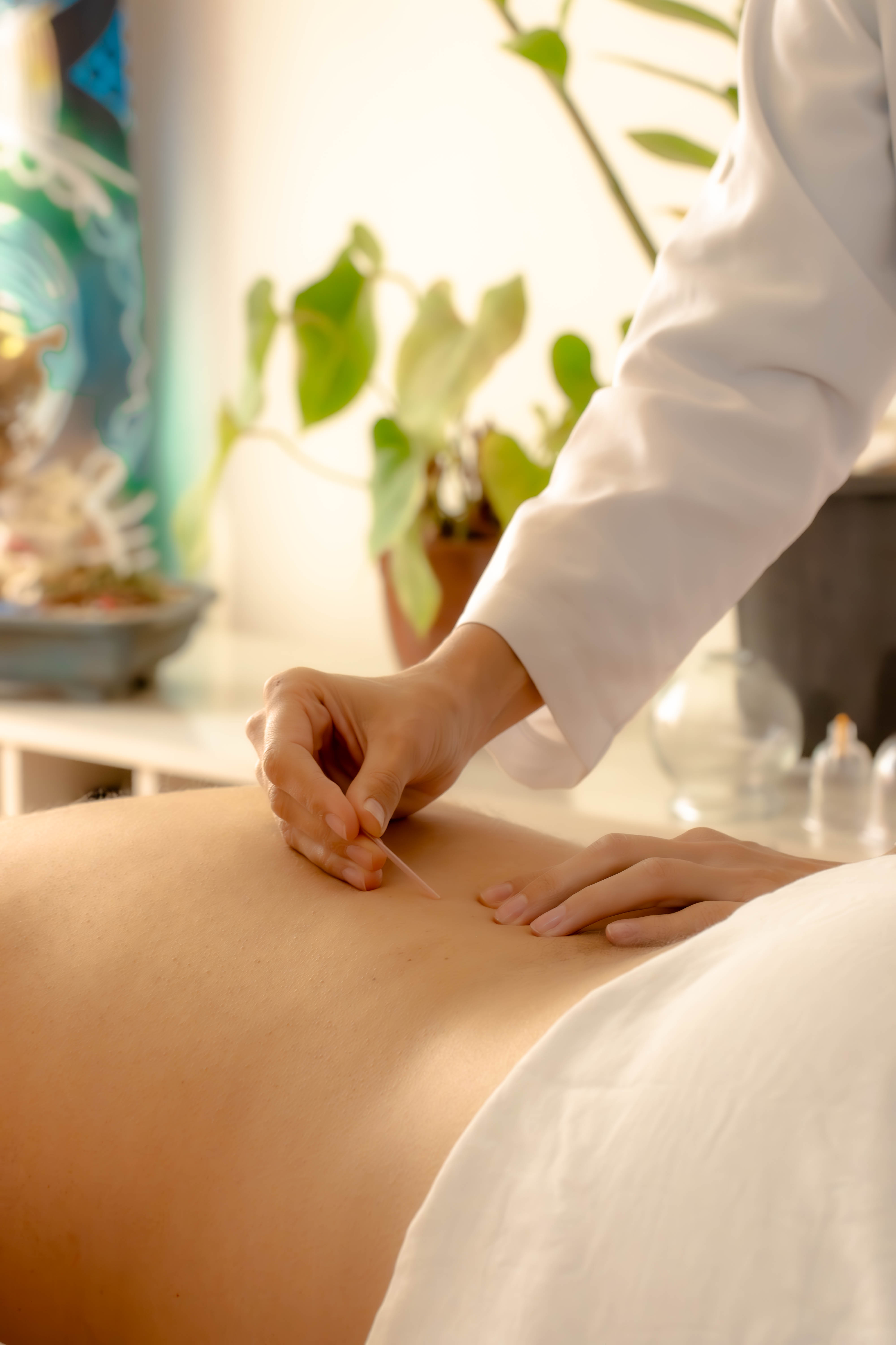 Acupuntura - Sala terapêutica com plantas e ambiente calmo